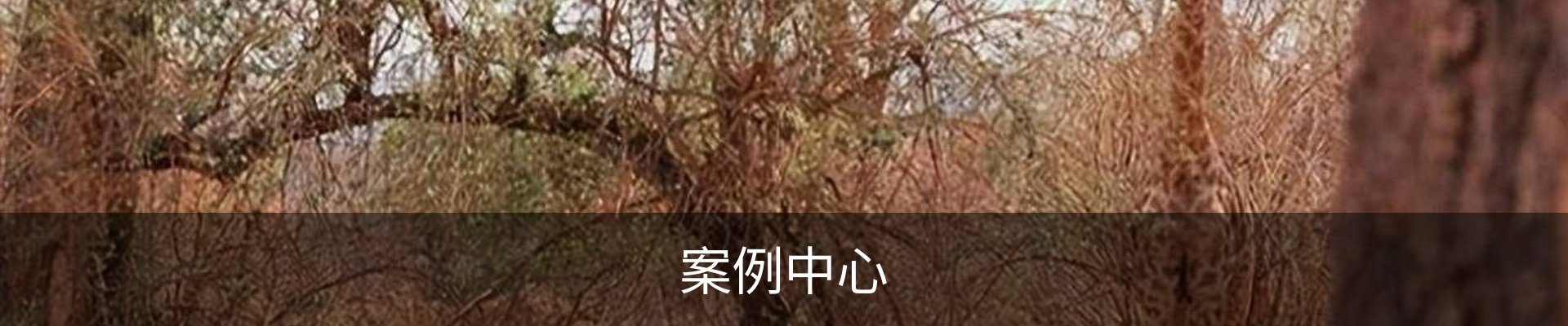 案例中心