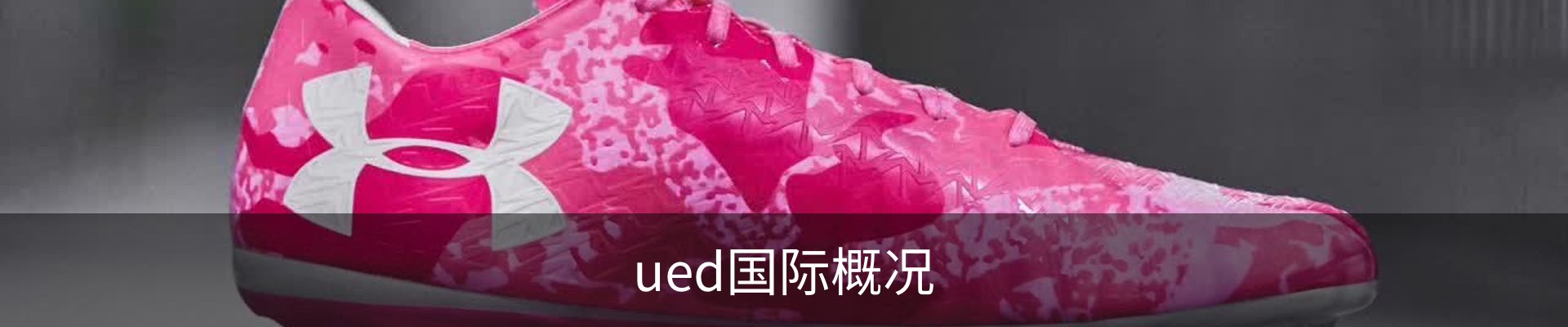 ued国际概况